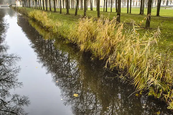 Водный канал через лес осенью — стоковое фото