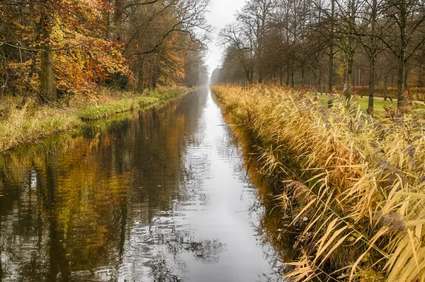 Canal de água através da floresta no outono — Fotografia de Stock