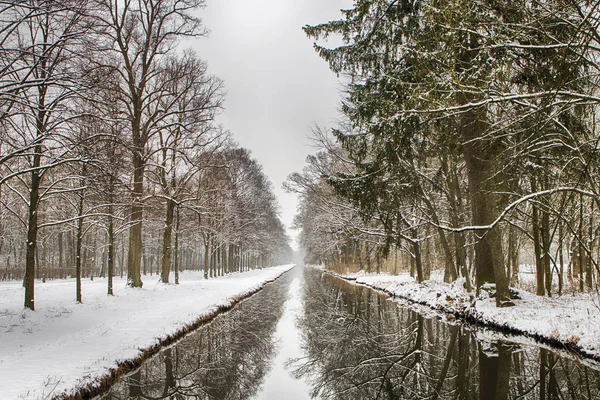 water channel through snowy forest