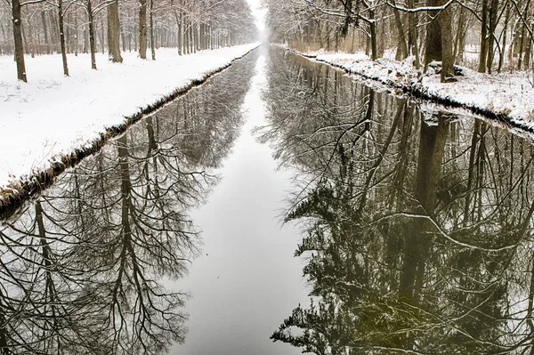 water channel through snowy forest