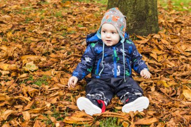 sonbahar tarama bebek ormanda bırakır