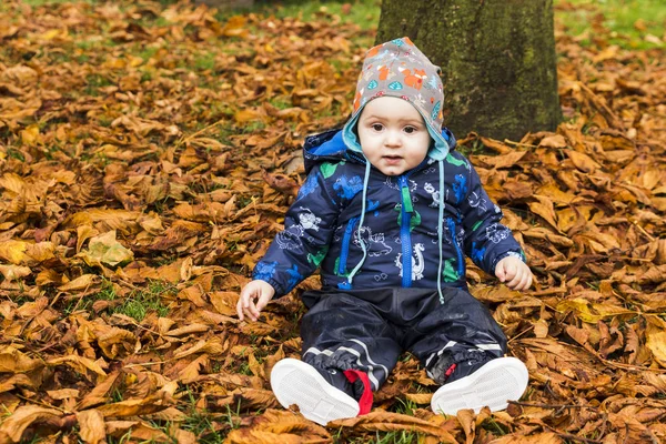 Bebê rastejando através das folhas de outono na floresta — Fotografia de Stock