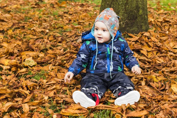 Bebê rastejando através das folhas de outono na floresta — Fotografia de Stock