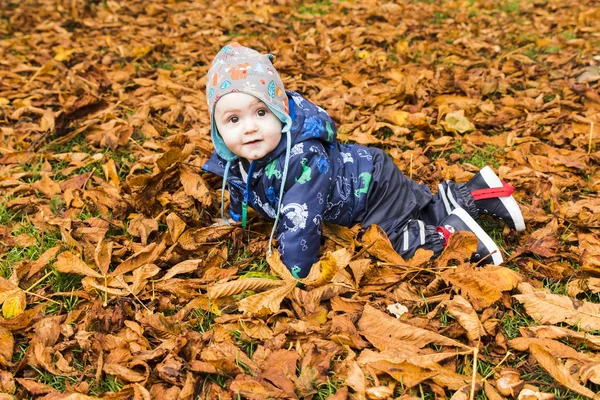 Bebê rastejando através das folhas de outono na floresta — Fotografia de Stock