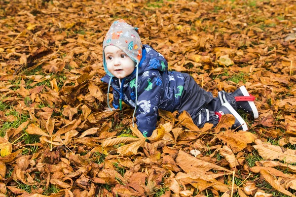 Bebê rastejando através das folhas de outono na floresta — Fotografia de Stock