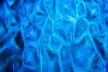 Işıklar içinde belgili tanımlık karanlık ile bir soyut tasarımları. Lightpainting