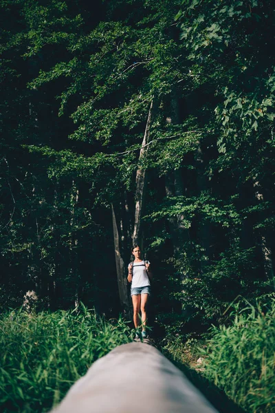 Escursionista donna in piedi sul tronco d'albero — Foto Stock