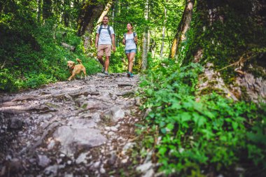 Küçük sarı köpekle Çift