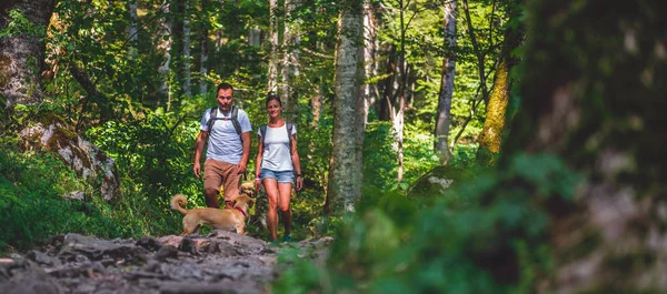 Küçük sarı köpekle Çift — Stok fotoğraf