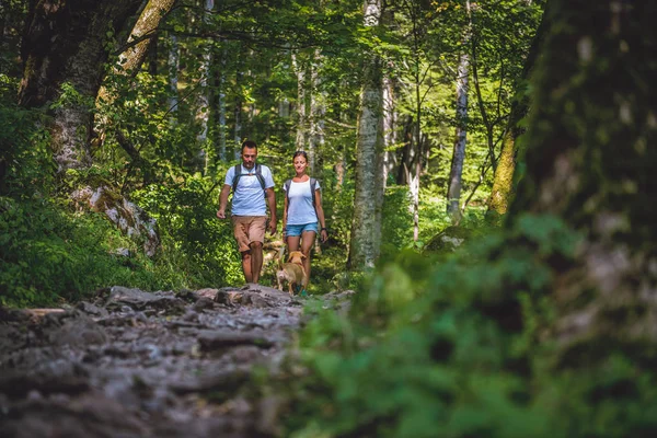 Küçük sarı köpekle Çift