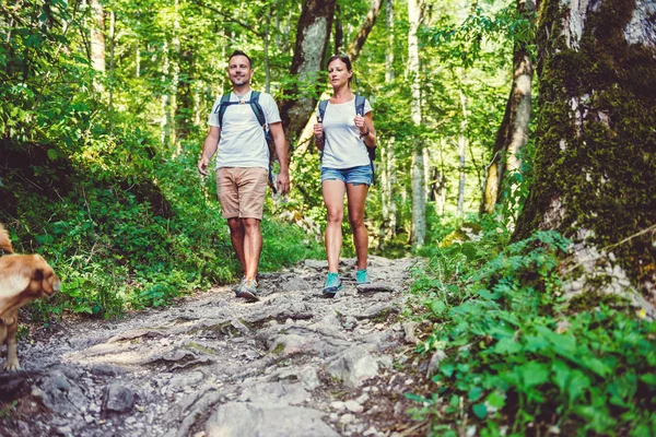 Küçük sarı köpekle Çift