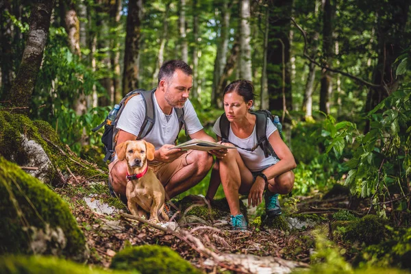 couple with small yellow dog