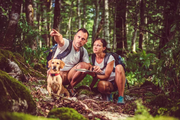 Küçük sarı köpekle Çift — Stok fotoğraf