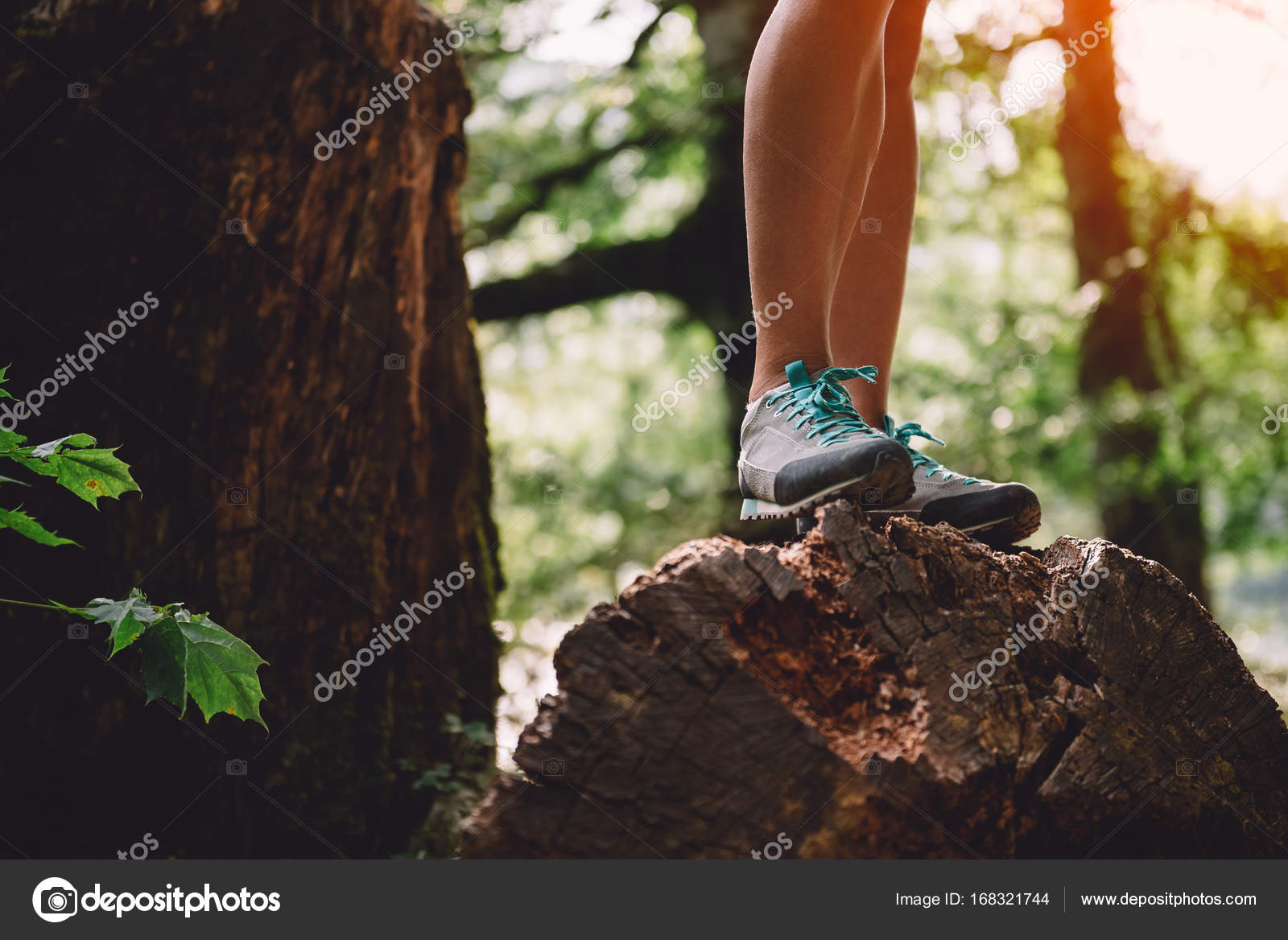 Hiker Stiefel auf Baum Protokoll — Stockfoto © Kerkezz Hiker Stiefel auf Baum Protokoll — Stockfoto © Kerkezz