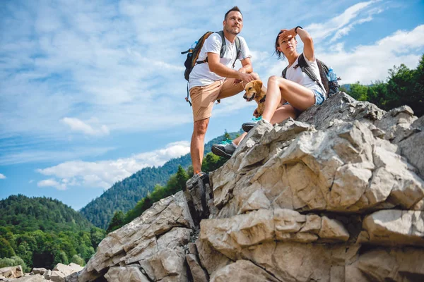 Cuplu cu câine galben mic — Fotografie, imagine de stoc