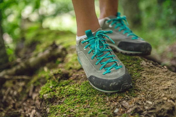 Hiker boots på träd log — Stockfoto