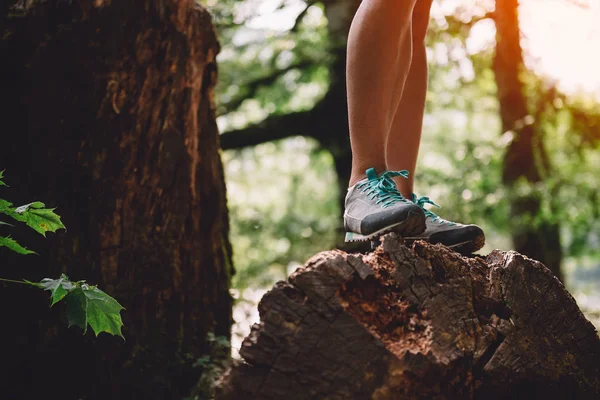 Hiker boots on tree log — Stock Photo, Image