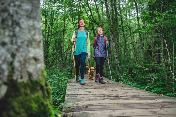 Mutter und Tochter mit Hund wandern — Stockfoto