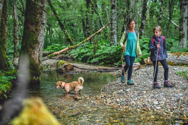 Anne ve kızı ile köpek hiking — Stok fotoğraf