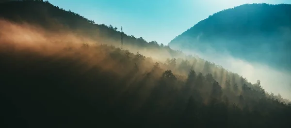 Bergen en ochtend mist — Stockfoto