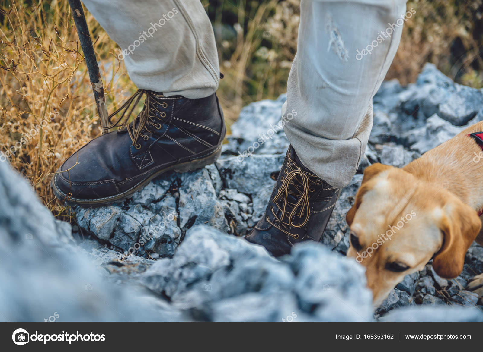 Hiker Stiefel auf Baum Protokoll — Stockfoto © Kerkezz Hiker Stiefel auf Baum Protokoll — Stockfoto © Kerkezz