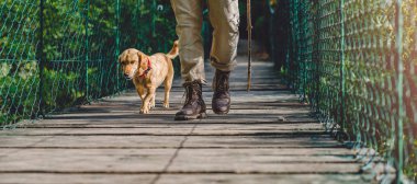 Uzun yürüyüşe çıkan kimse ile küçük sarı köpek