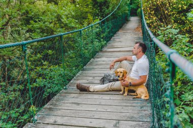 Uzun yürüyüşe çıkan kimse ile küçük sarı köpek