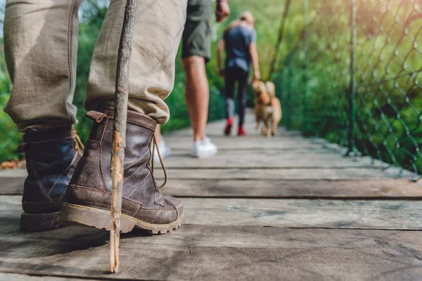 Família com cão caminhando — Fotografia de Stock