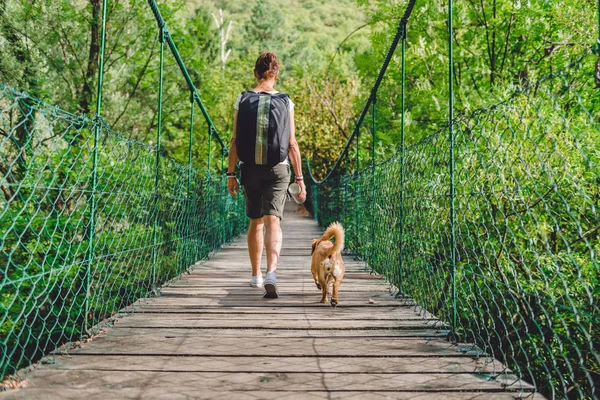 Mujer y perro caminando en el puente — Foto de Stock