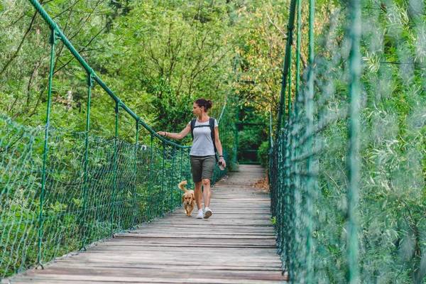 Mujer y perro caminando en el puente — Foto de Stock