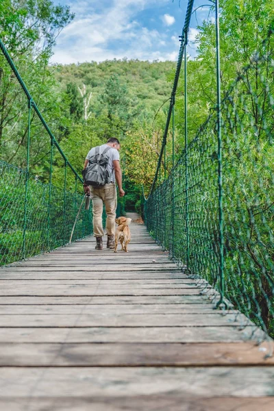 Uzun yürüyüşe çıkan kimse ile küçük sarı köpek — Stok fotoğraf