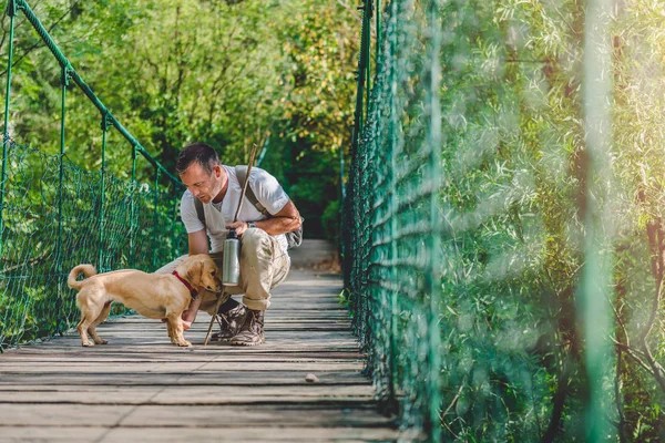 Uzun yürüyüşe çıkan kimse ile küçük sarı köpek — Stok fotoğraf