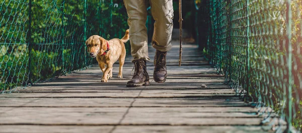 Hiker with small yellow dog — Stock Photo, Image