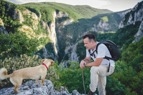 Uzun yürüyüşe çıkan kimse ve küçük sarı köpek — Stok fotoğraf