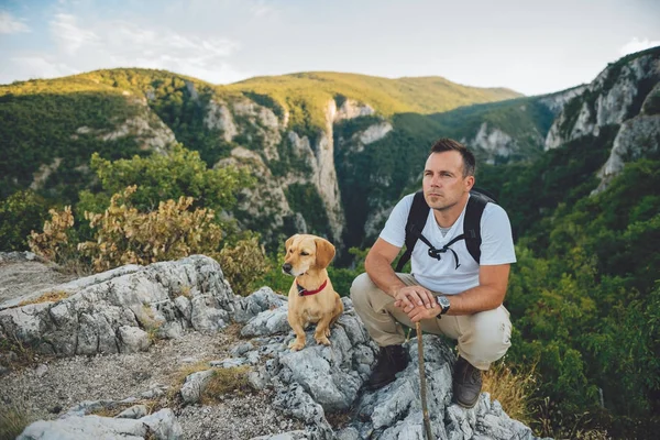 Tramp a malý žlutý pes — Stock fotografie