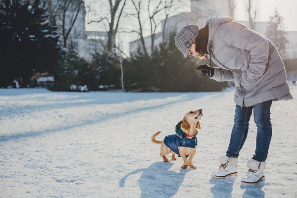 Mulher falando com o cão — Fotografia de Stock