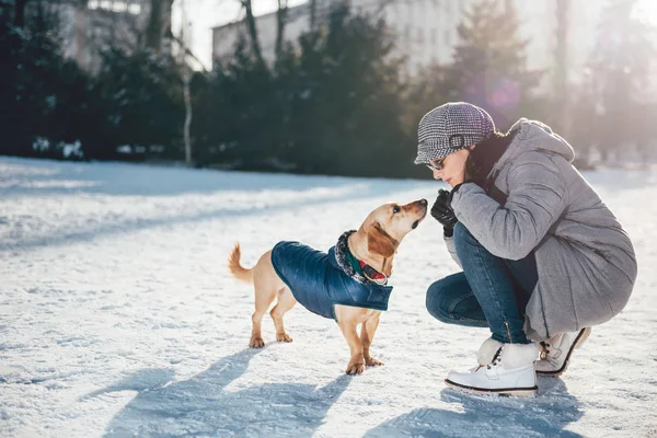 Kvinde taler med hund - Stock-foto