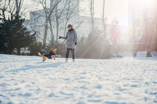 Женщина с собакой в зимний день — стоковое фото
