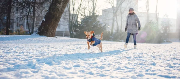 Woman with dog in winter day — Stock Photo, Image