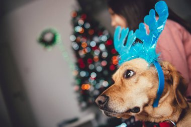 Dog with Reindeer Antlers clipart