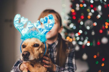 Ren geyiği geyik boynuzu ile köpek