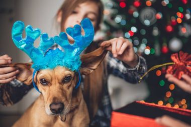 Köpek kulakları tutarak kız