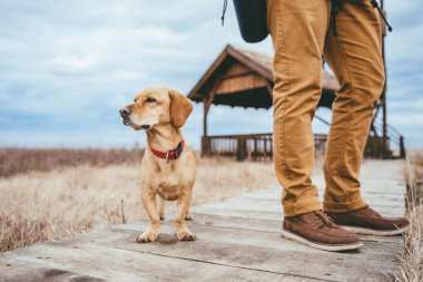 Köpek ve geçit üzerinde duran uzun yürüyüşe çıkan kimse 