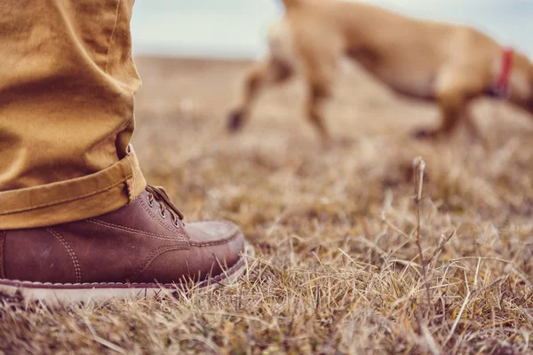 Botas de caminhantes na grama — Fotografia de Stock