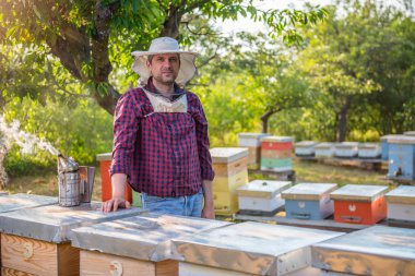 Arı kovanı arkasında duran arıcı 