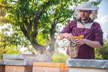 Arıcı teftiş yapan bal arıları
