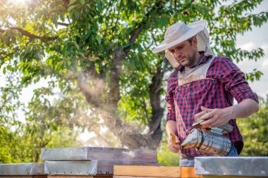 Tatlım teftiş arıcı 