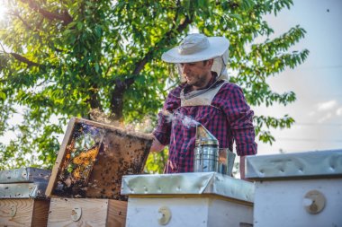 Tatlım teftiş arıcı 