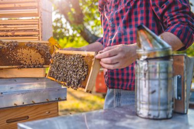 close-up photo of Beekeeper clipart