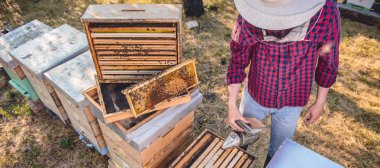 Arıcı kontrol arılar açık havada